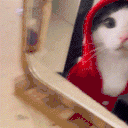 plomfi animated emote