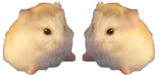 SitsWithU emote