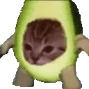 Avacatospin emote