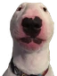 walter emote