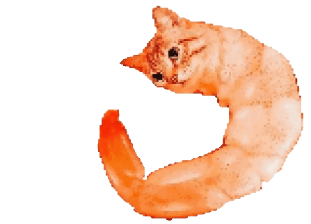 ShrimpCat
