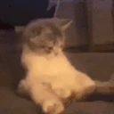 kokHUH emote