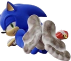 sonic emote