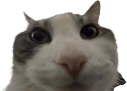 bruh emote