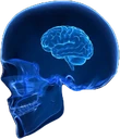 smallbrain emote