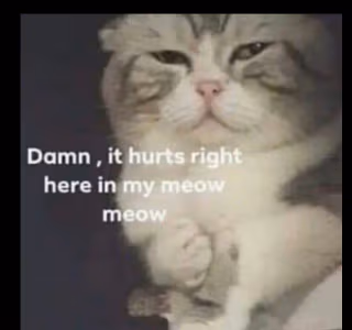 hurt_cat emote