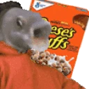 ReesesPuffs emote