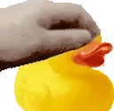 PETTHEDUCK emote