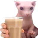 BingusChocoMilk emote