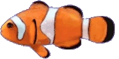 Harold emote