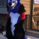 furryDance emote