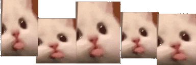 Blatter emote