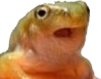 skippy emote