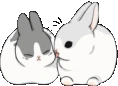 BunnyKiss emote