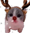 Scared emoji