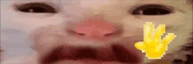 byeee emote