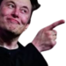 elonpoint static emote