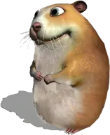 chomik emote