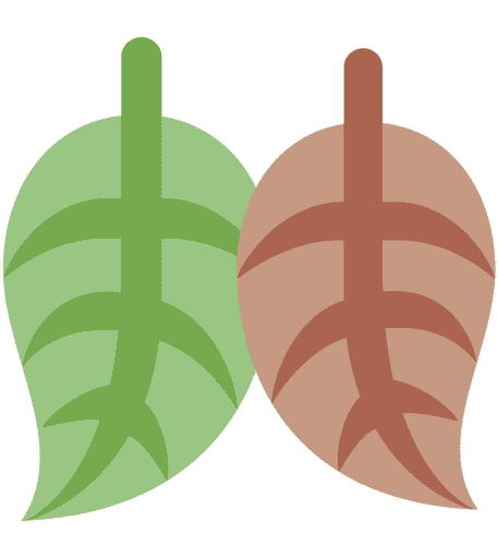 LeafDance animated emote