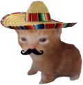 Roberto emote
