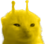 ylorp emote