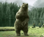 bear emoji