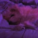 sleepie emote