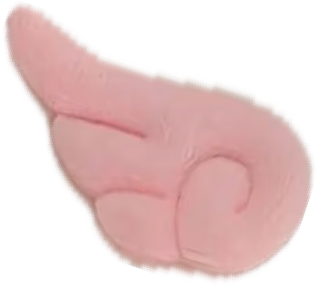 angelwingpink emote