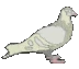 PigeonBadge emoji