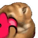 FloppaL emote