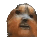 bbSUSSY emote