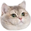 fatCat emote