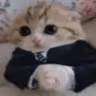 Baseg emote