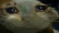 xddsad emote