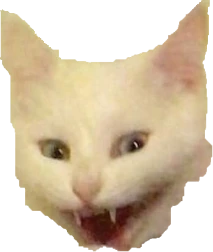 cat emote