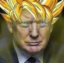 GokuTrump emote