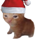 Robert emote