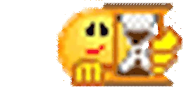 zw emote