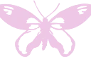 butterfly emote