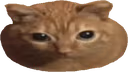 LASANG emote