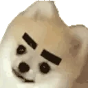 Brows emoji