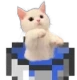 catinbucket emote