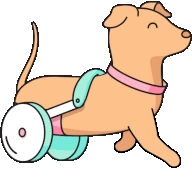 WheelchairPuppy emote