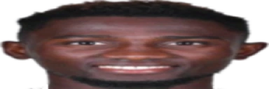 ndidi emote