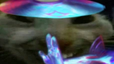 jaxdd emote