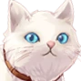 DGF_Cat emote