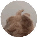 BunnyTurning emote