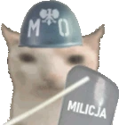 ZOMO emote
