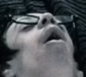 pancakebisleeping emote