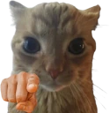 YOU emote